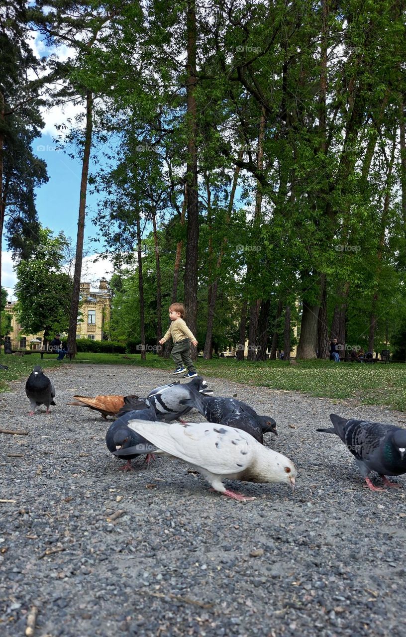 park in spring baby and pigeons