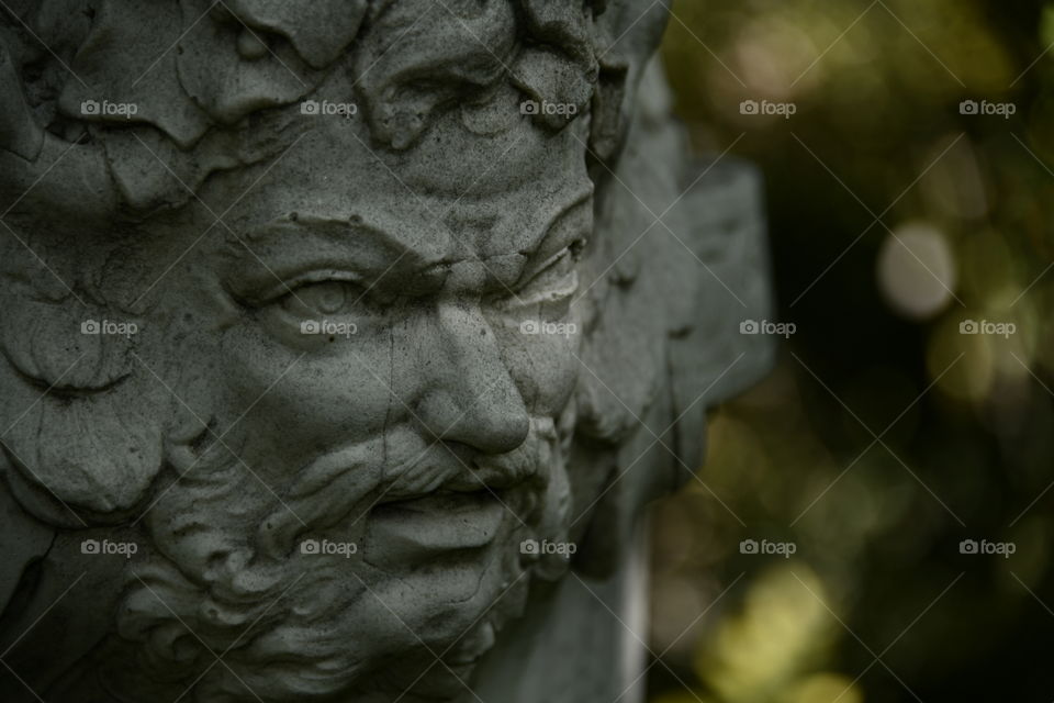 ornamentales, gran florero
ornamental, large vase