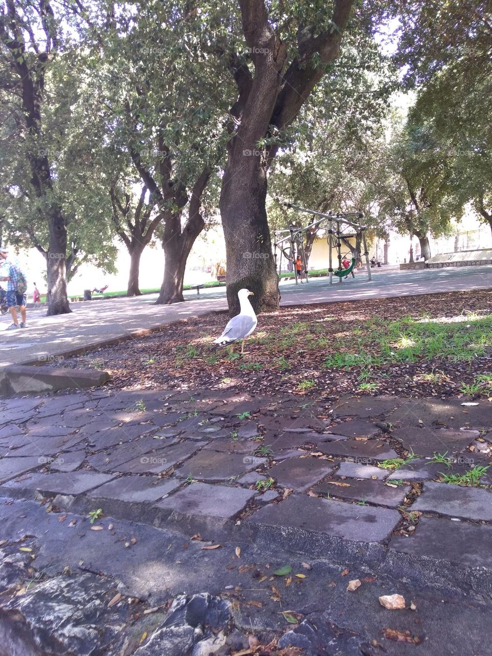 Battle: Countryside vs City