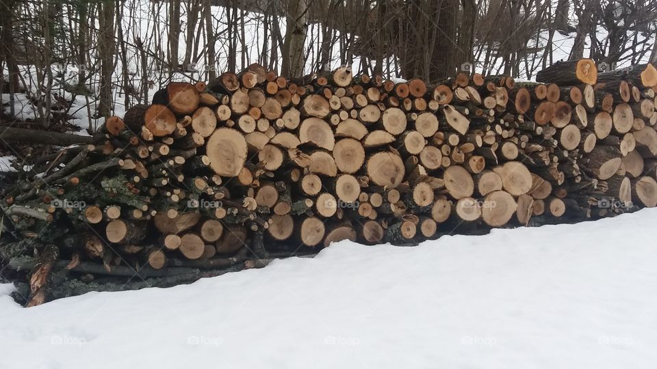 Firewood