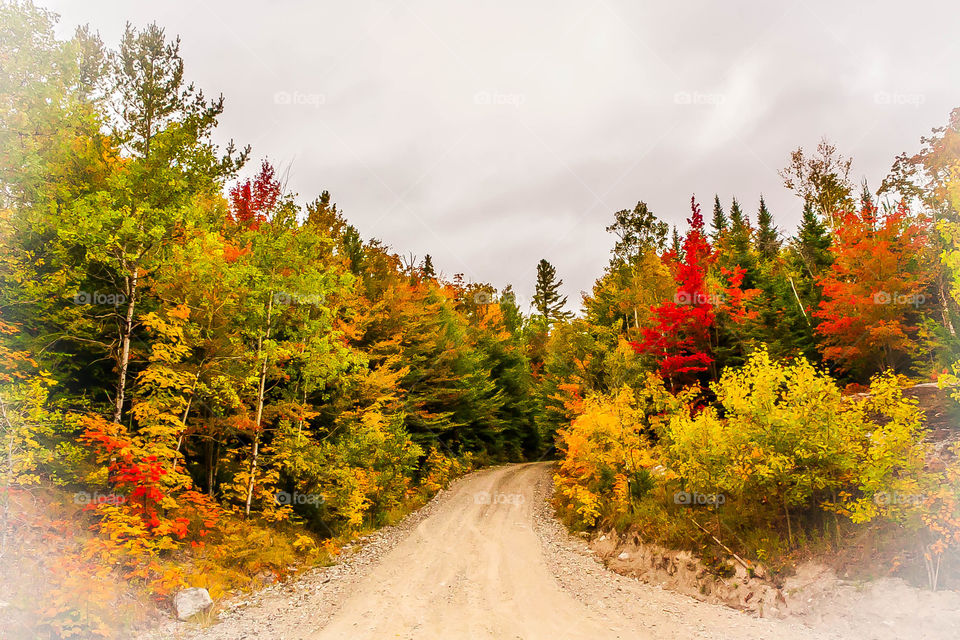 Adirondack Mountains. Fall in the Adirondacks