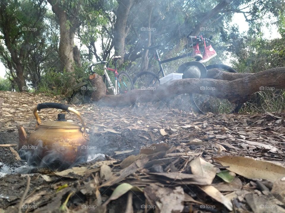 make some tea in a picnic