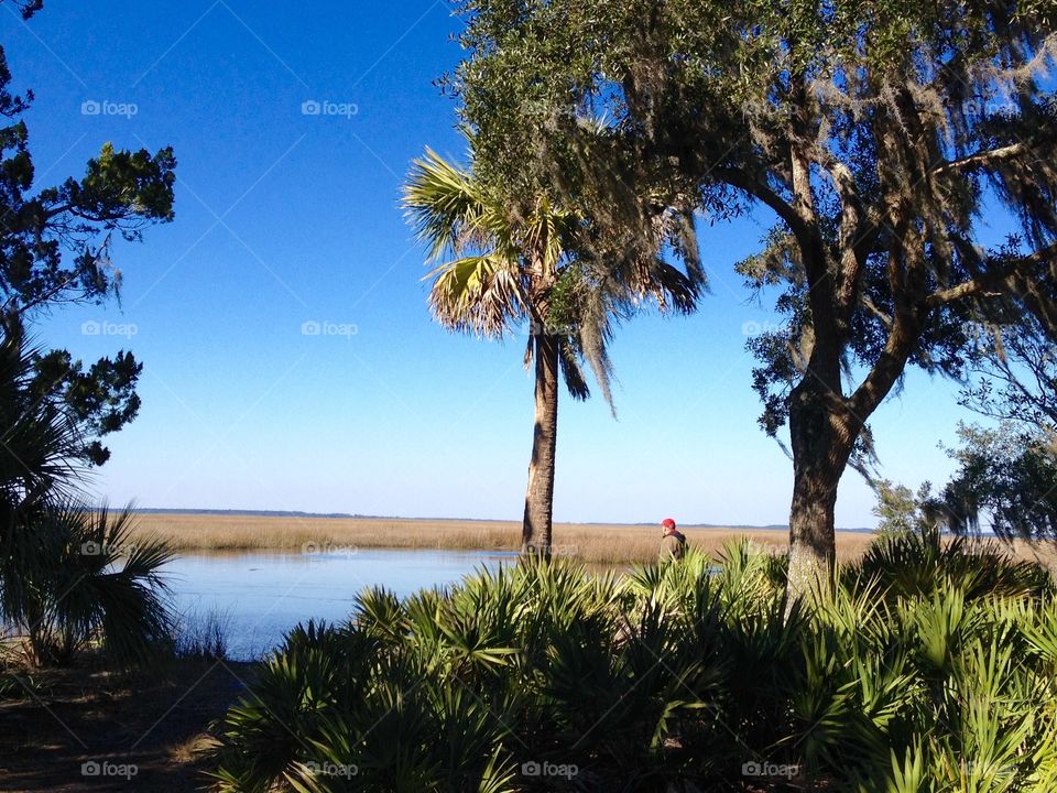 View from the Island