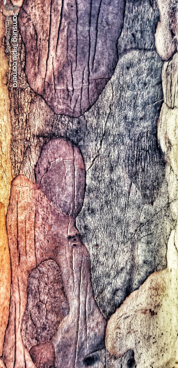 wood grains looks different