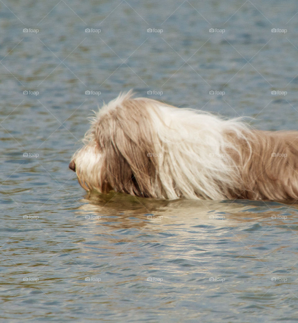 TAKING A SWIM