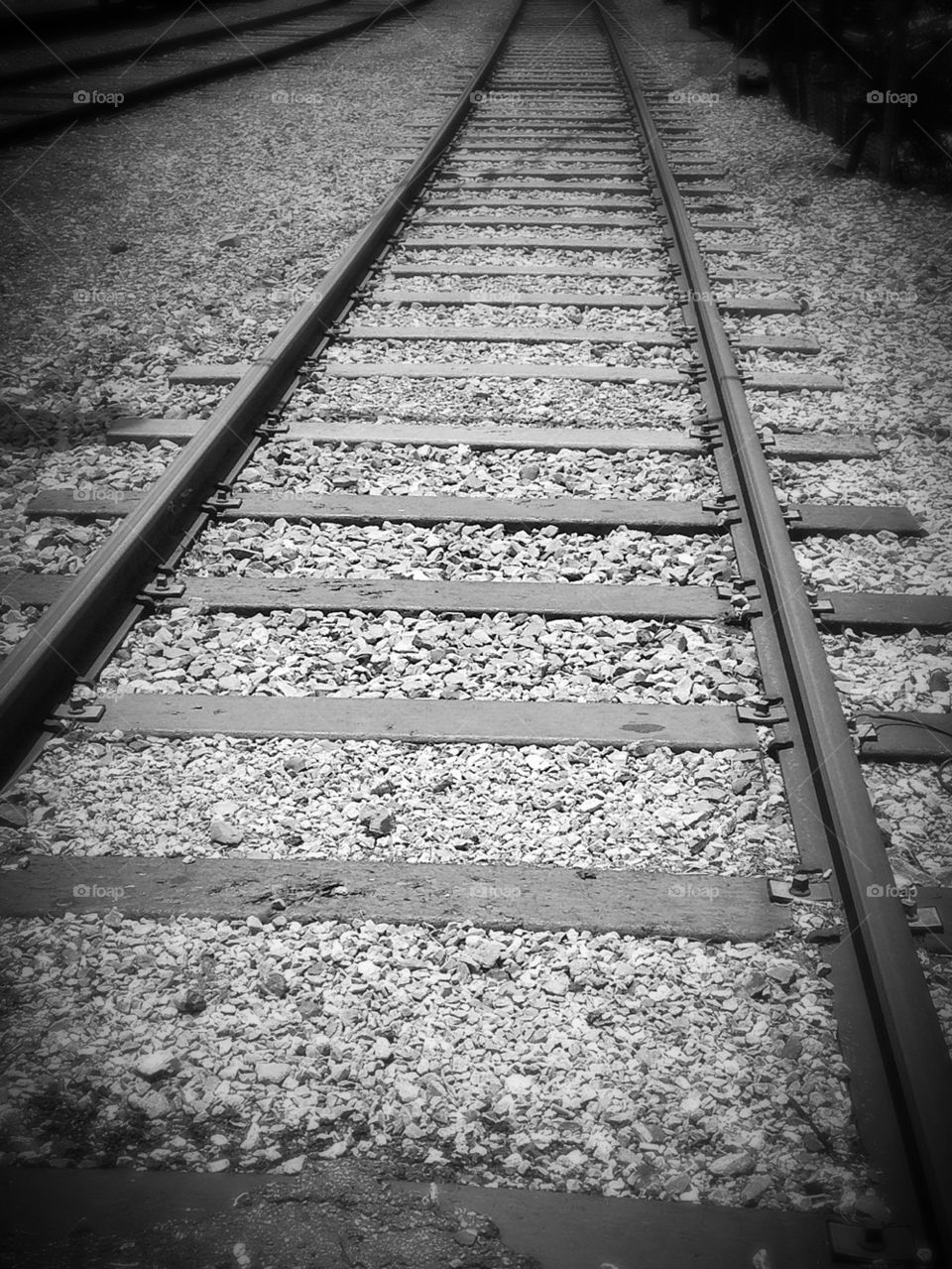 Ride the Rail 