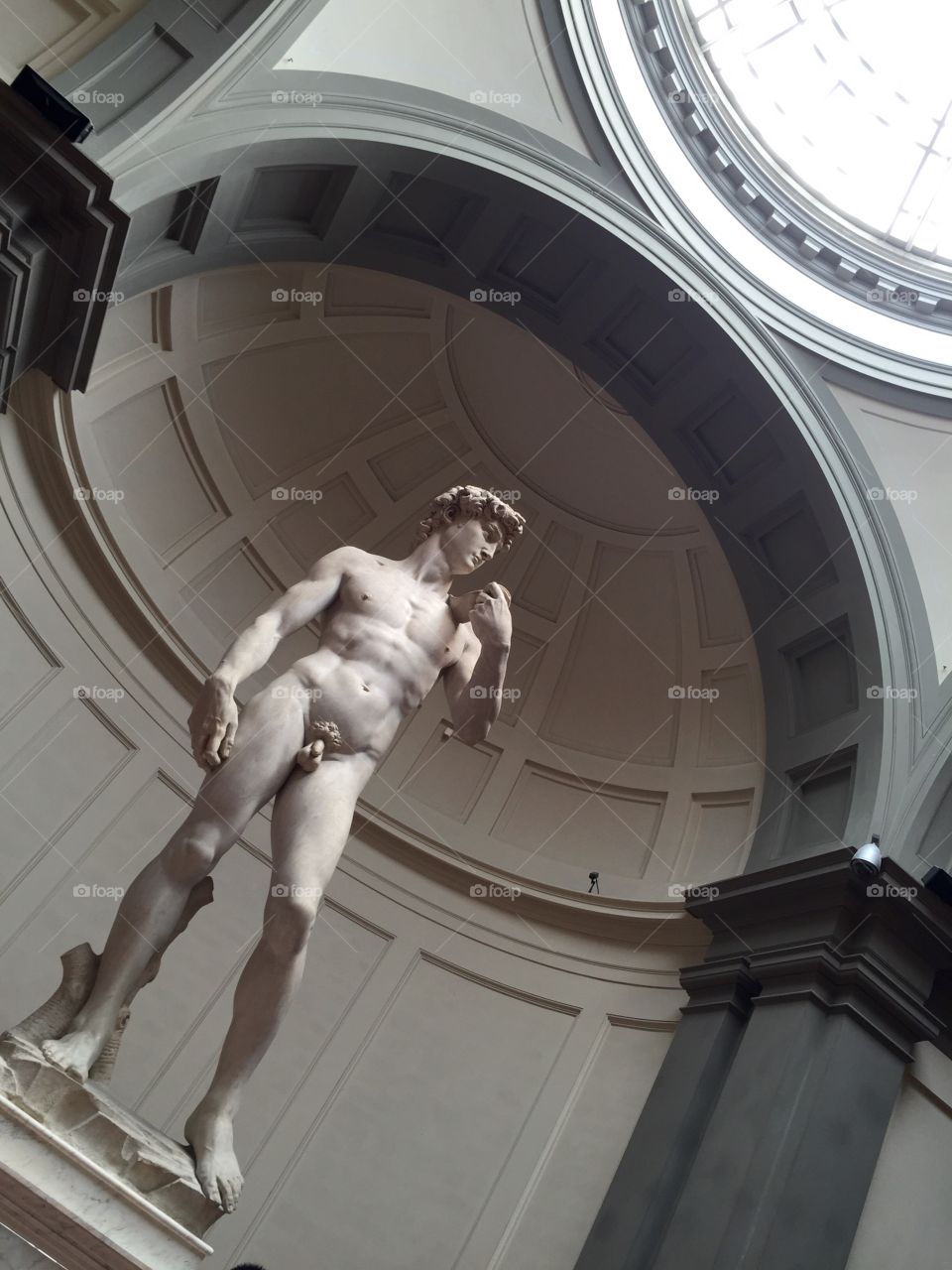 The statue of David 