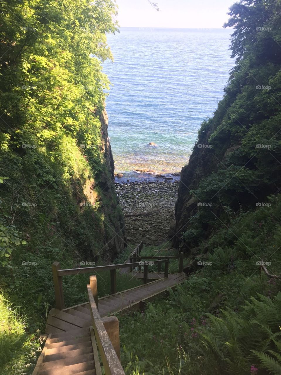 Stairway leads down the greenery covered cliff to a hidden rocky beach. Blue water laps at the shore. 