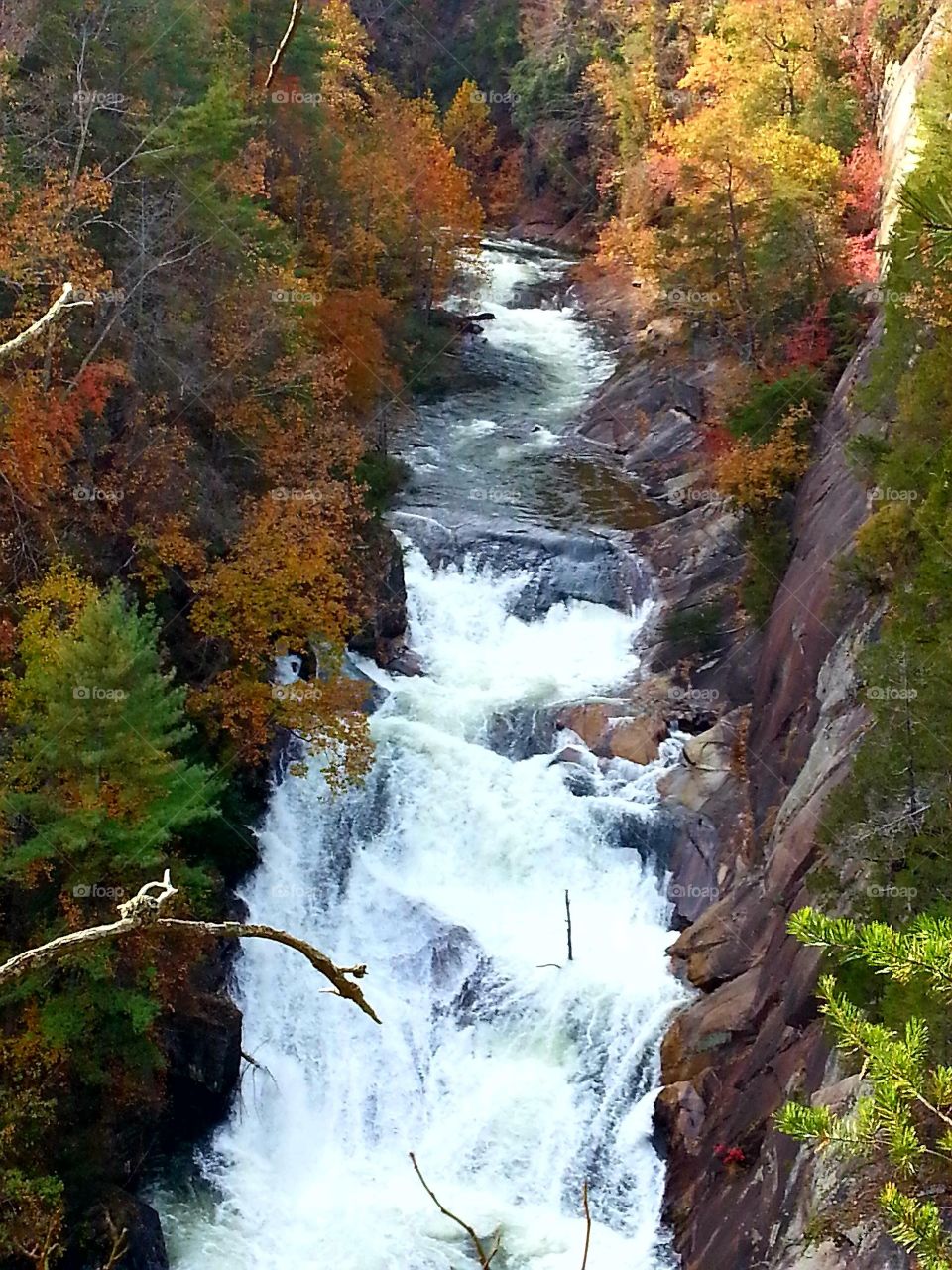 Waterfall surrounded by fall colors at Tallulah gorge state park in Georgia