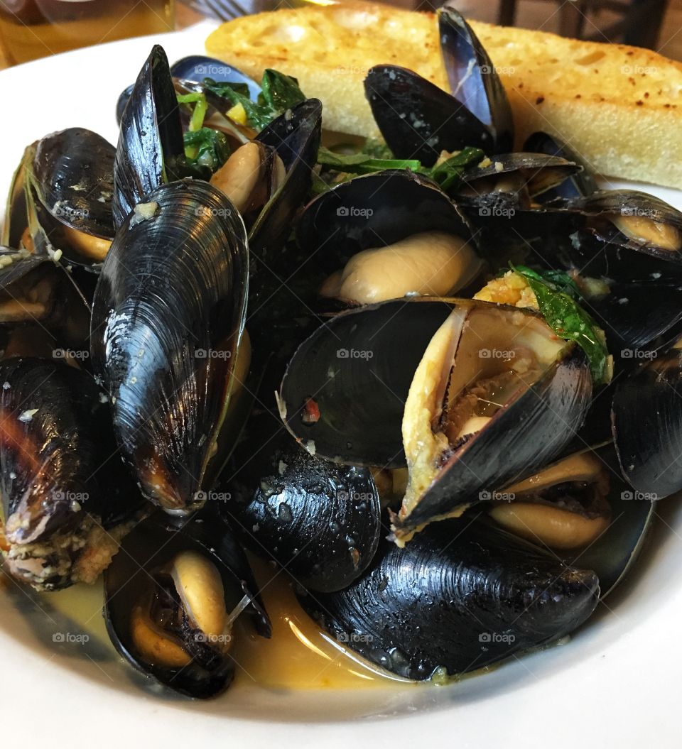 Mussels