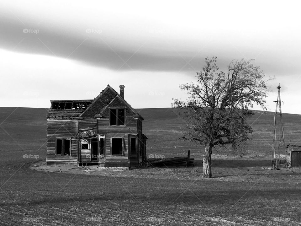 Abandoned farmhouse 