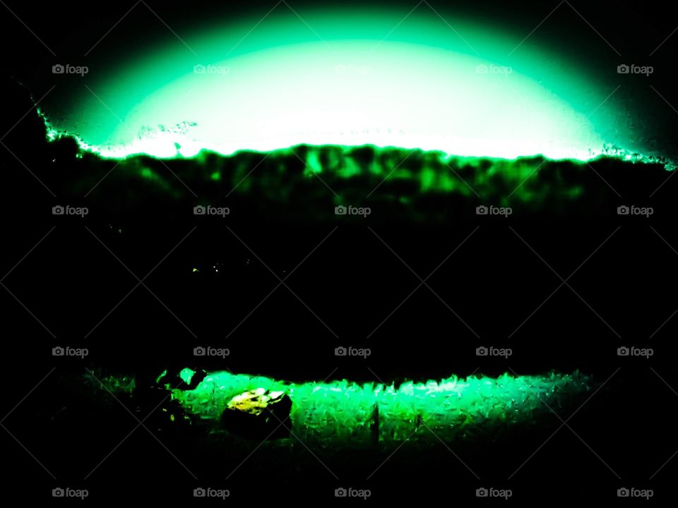 sunrise over the pond