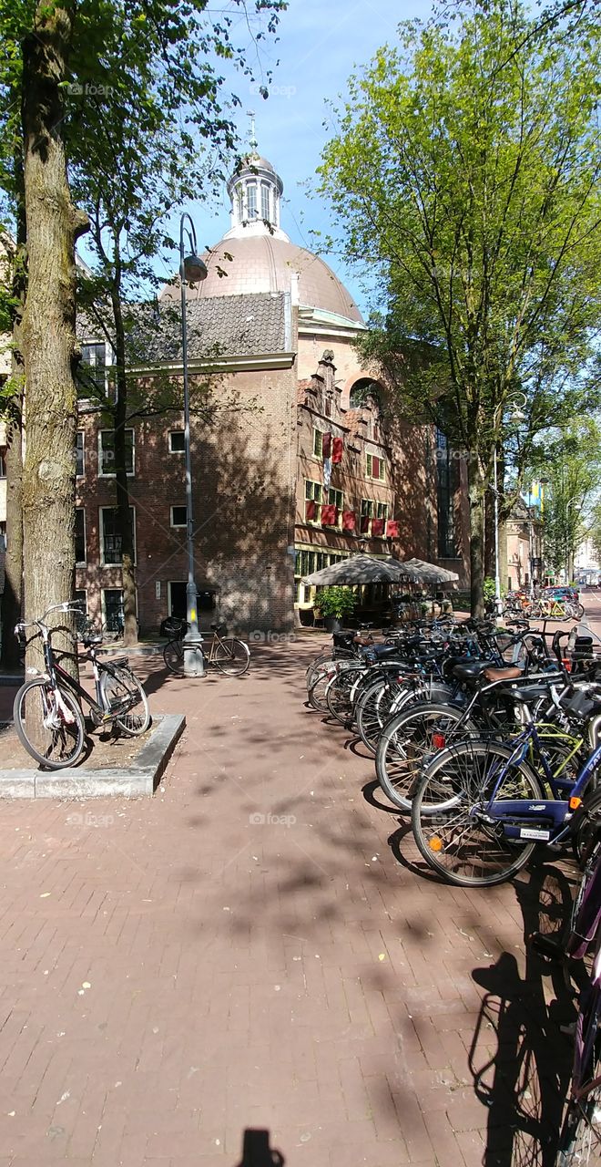 Bikes are all over in Amsterdam 🚲 Found this area while walking to find Anne Frank's house.
