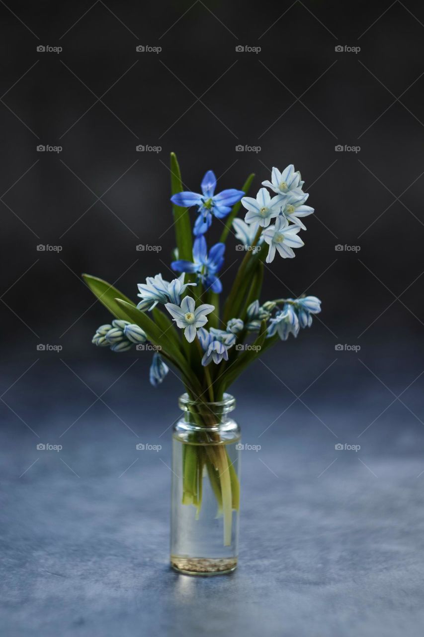 Bouquet of spring flowers in vase 