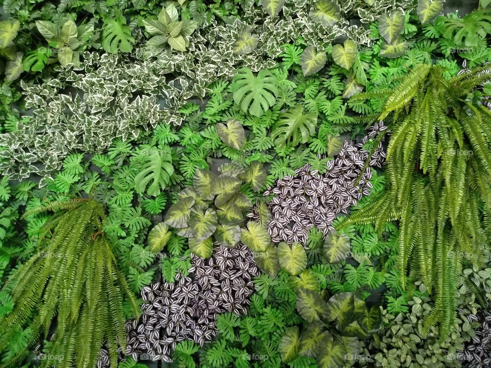 Green Leaf Pattern Background