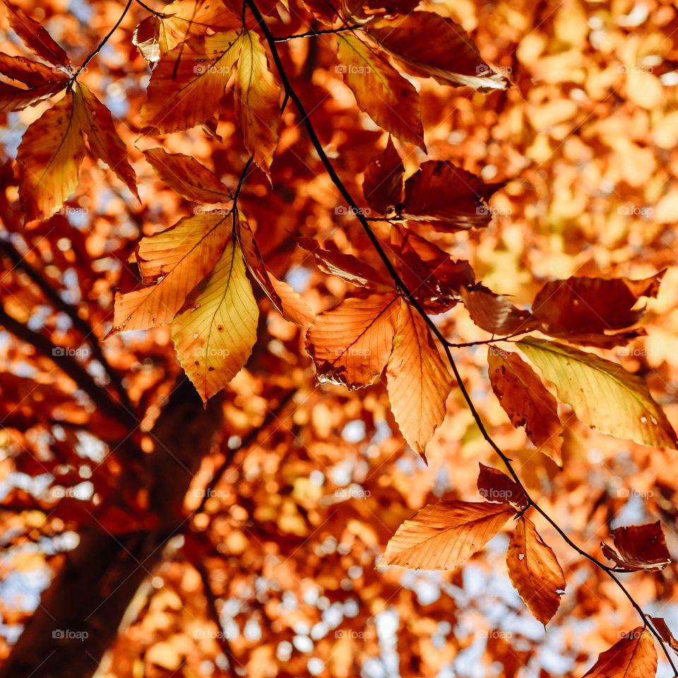 Fall adventures will always be a favorite 🍂