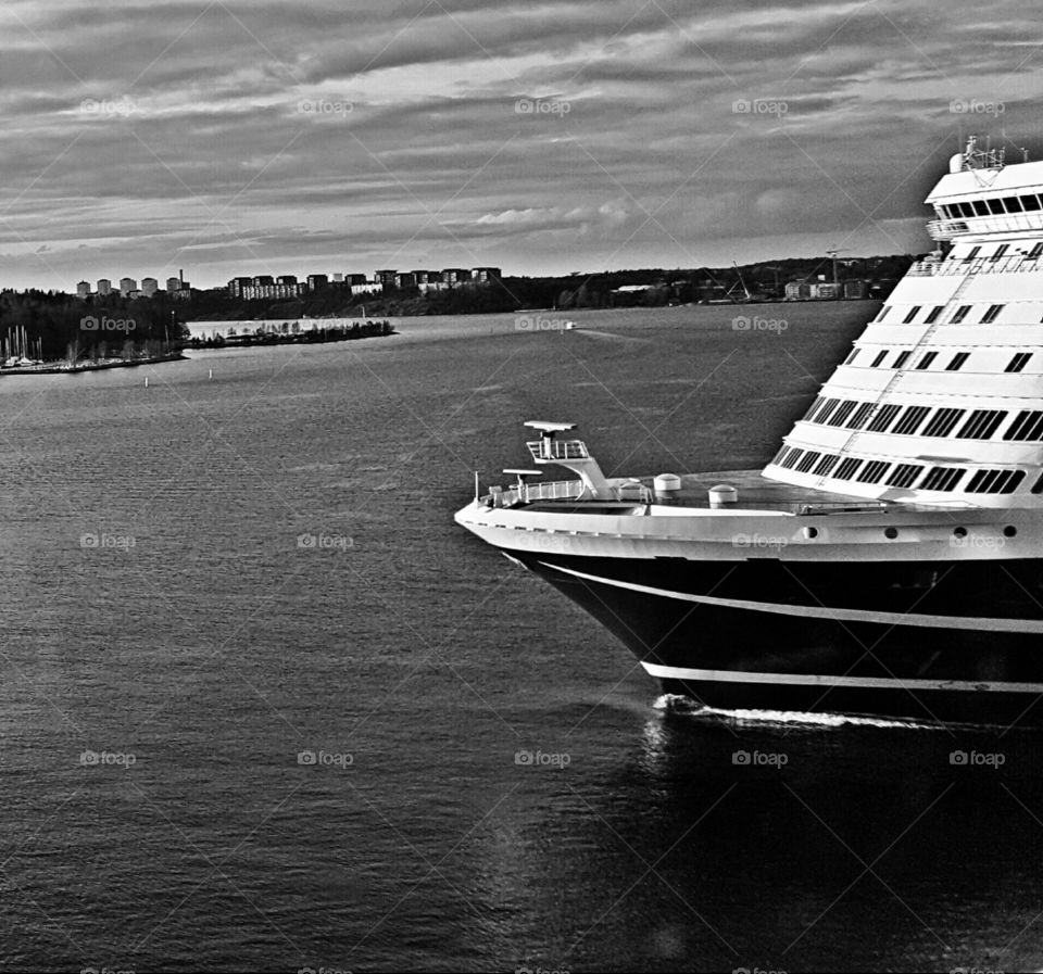 Black and White Ms Amorella