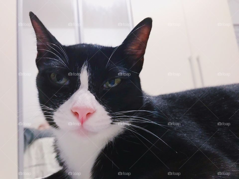 She hates it when I take her picture 