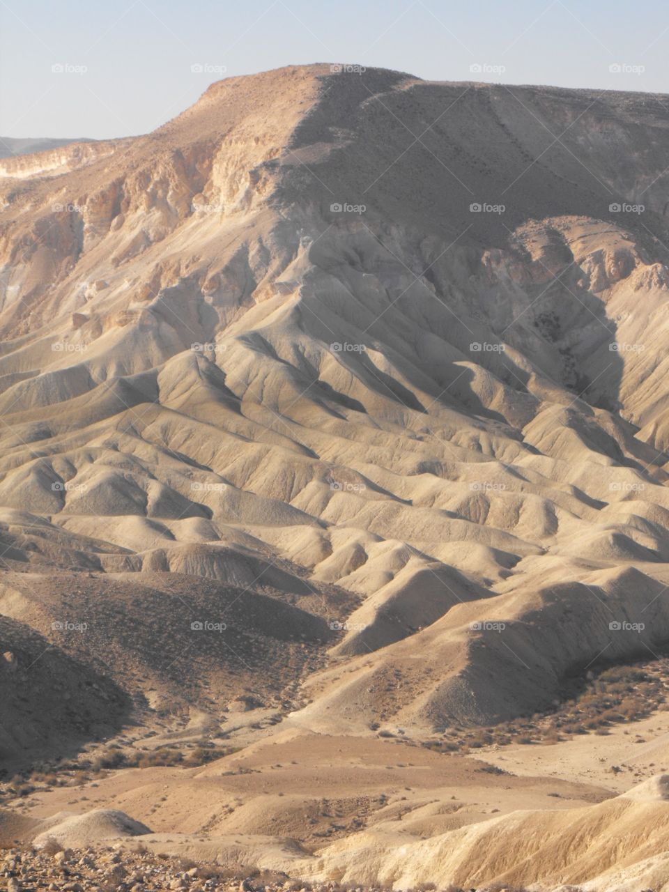 desert of Negev. Israel