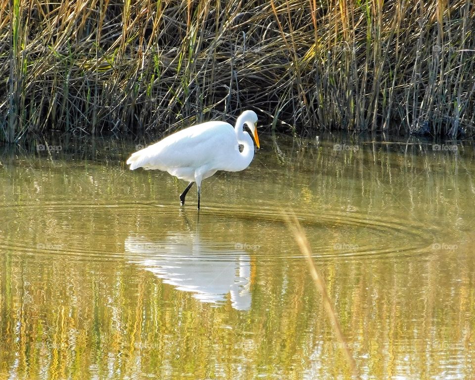 Silver Sands State Park