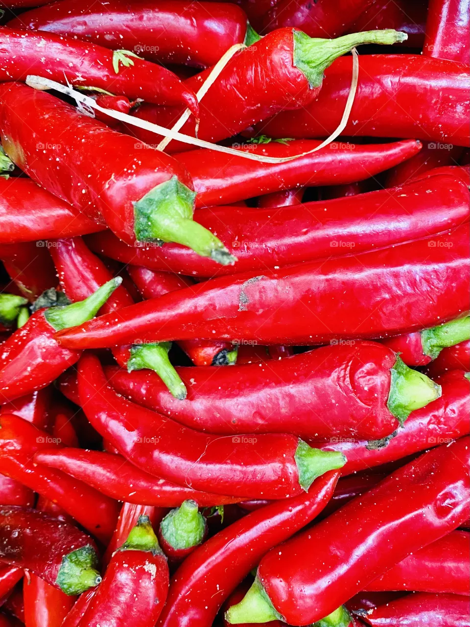 Red capsicum 