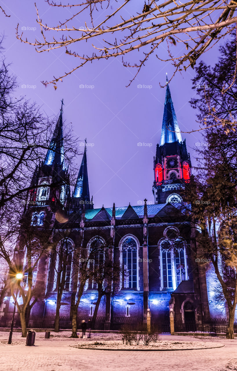 St. Olga and Elizabeth cathedral in Lviv city