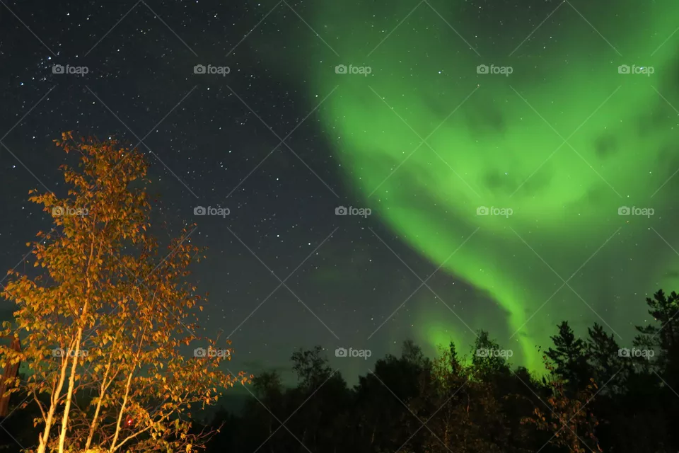 Star and aurora 