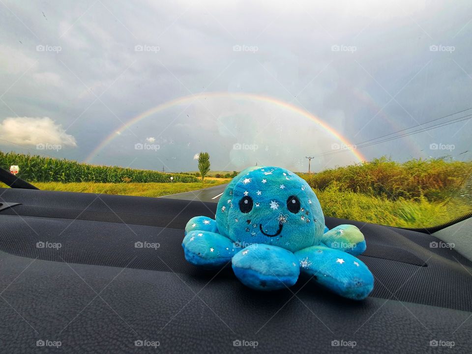 Amazing double rainbow