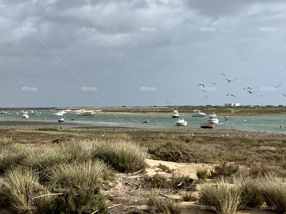 Seascape from Ria Formosa