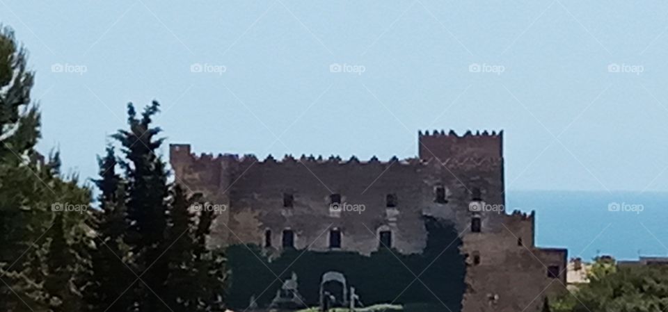 old castle with ivy on the walls