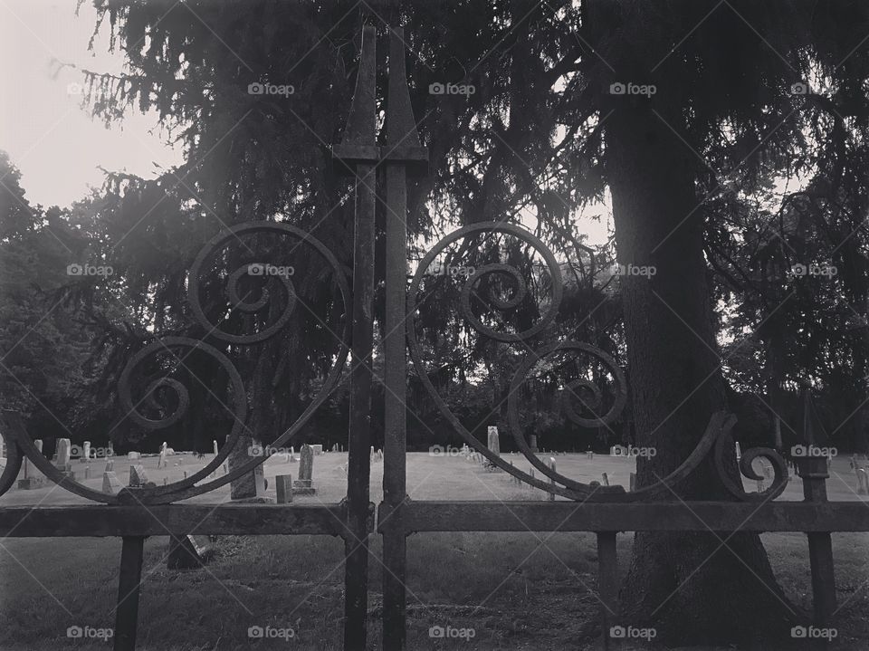 Cemetery Gate
