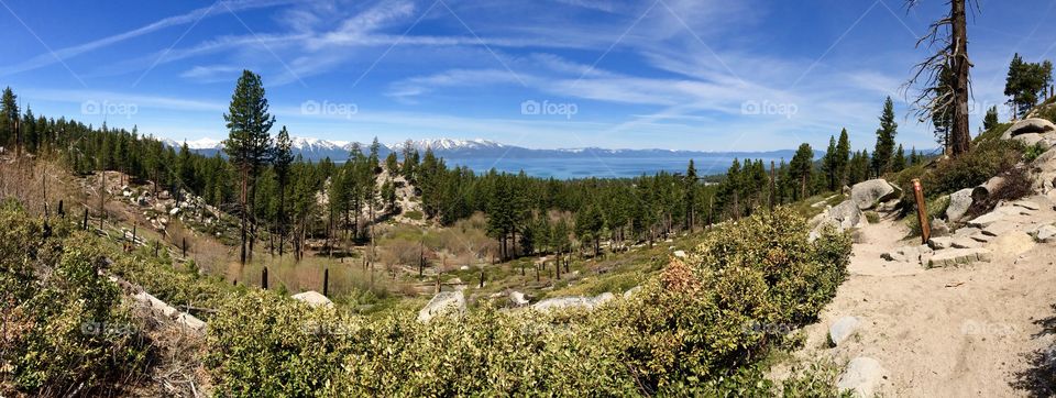 Scenic view of landscape