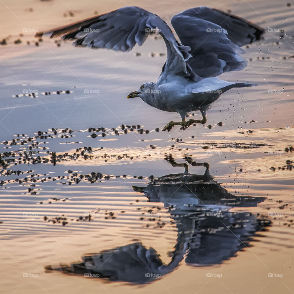End of the day reflections