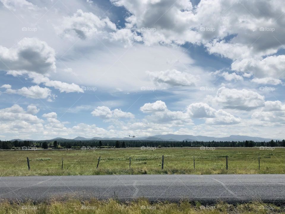 Small plane flying over a meadow