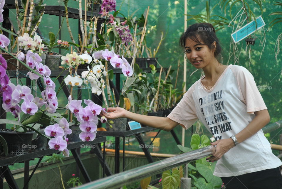 Pink Orchids Green House