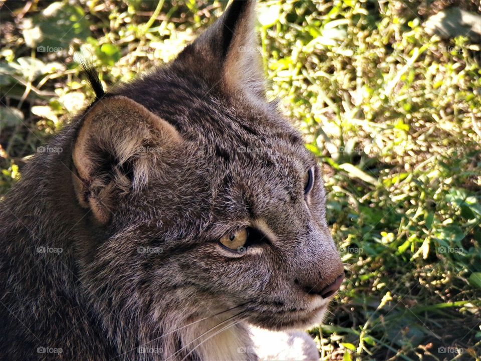 This guy was very cooperative in posing.