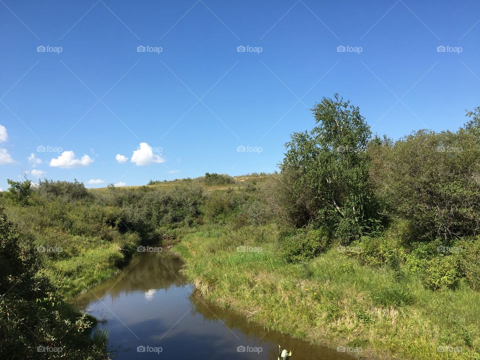 Landscape, No Person, Nature, Sky, Tree