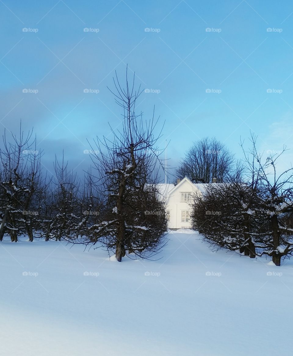 Winter in countryside,  Norway