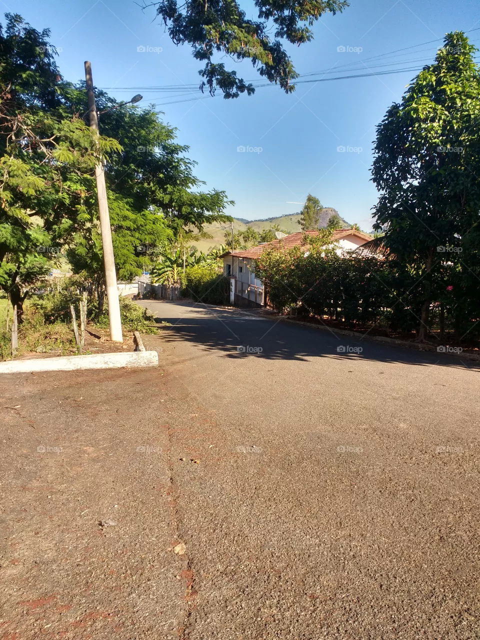lindo