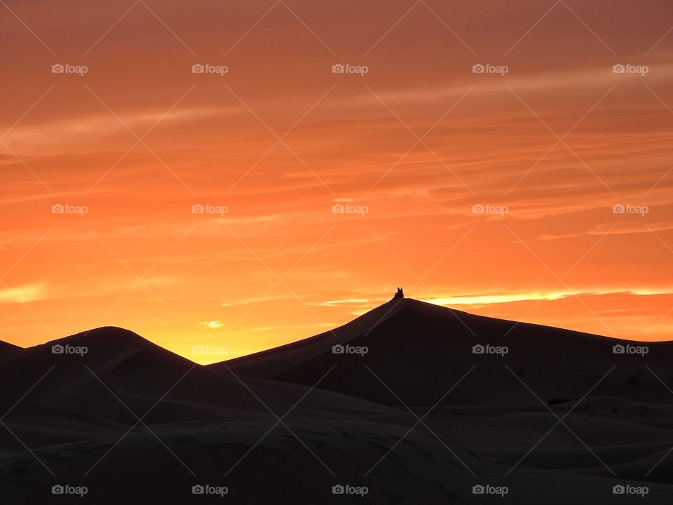 View of sunset on desert