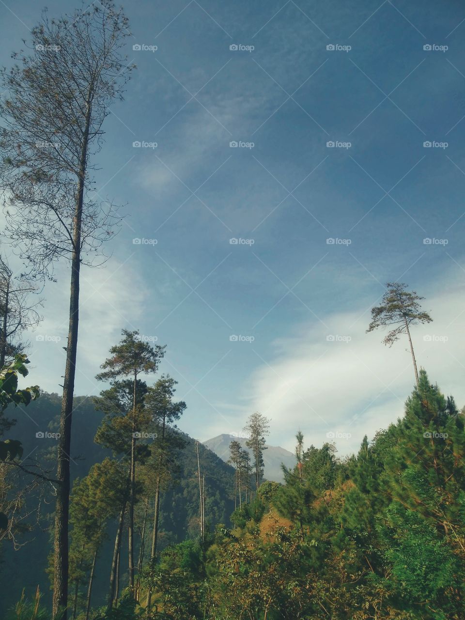 mountain landscape nature