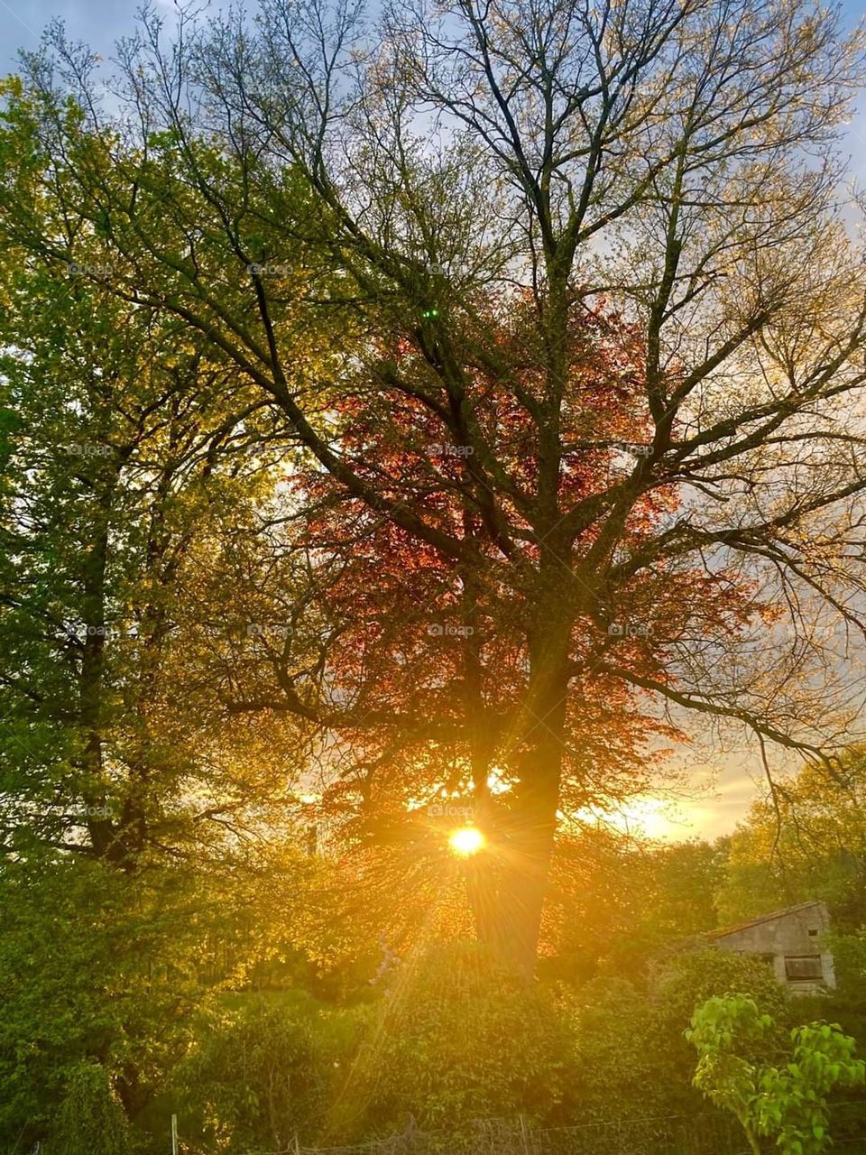 an early evening with us