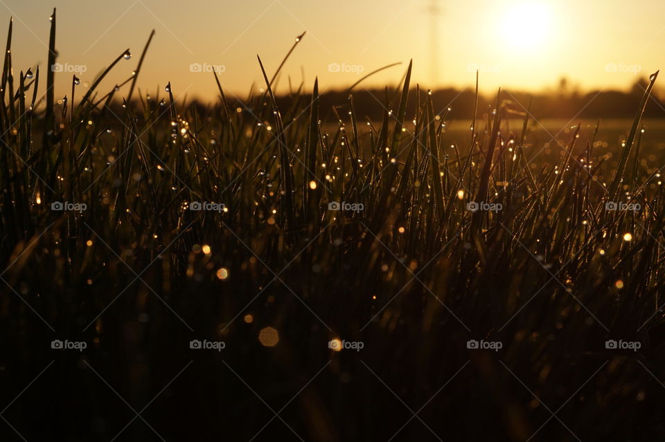 Sonnenaufgang