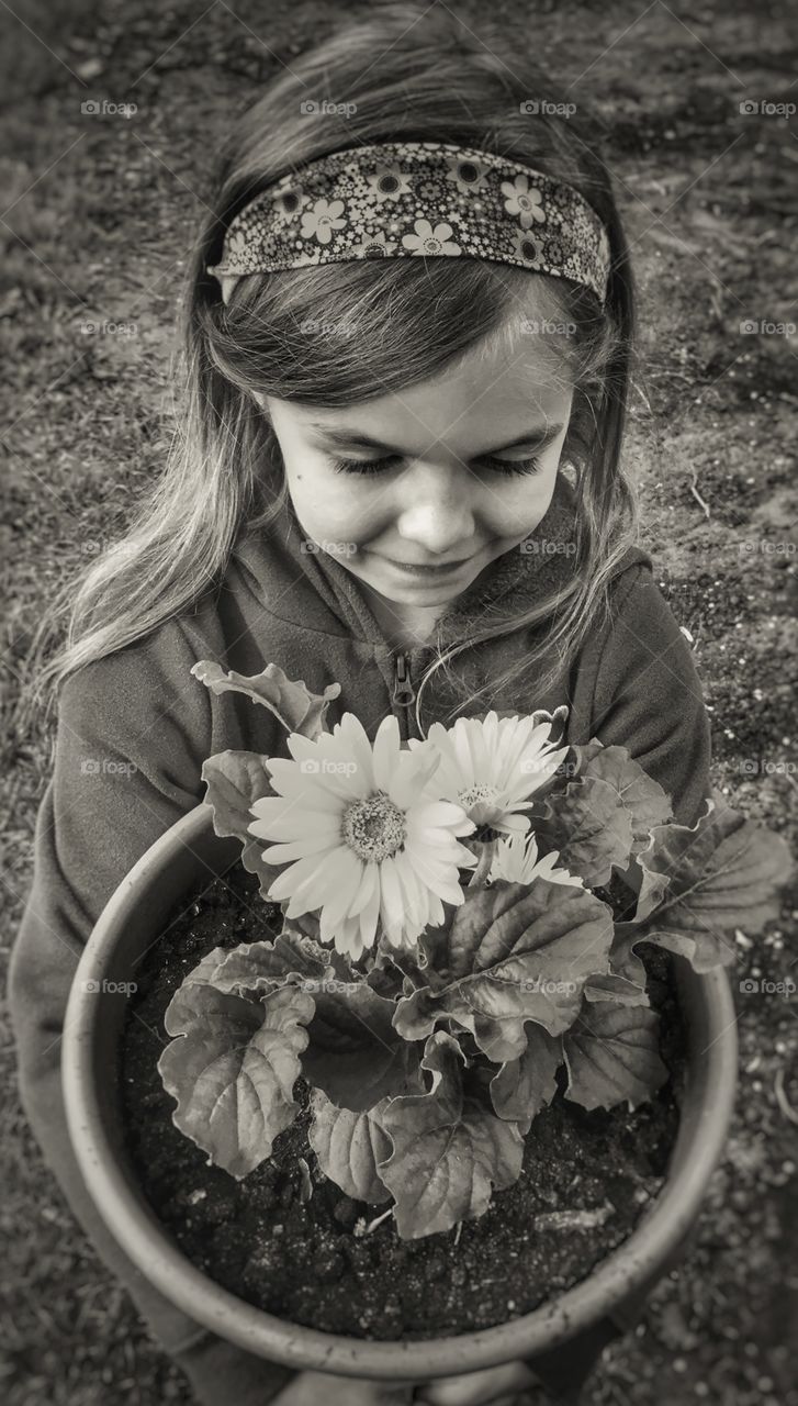 Portrait of a Daisy