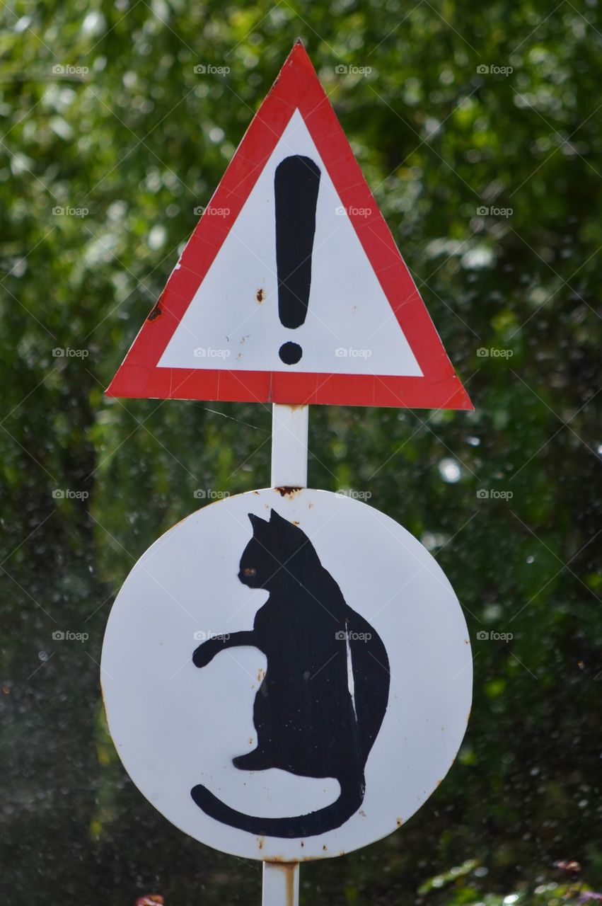 Warning for the cat