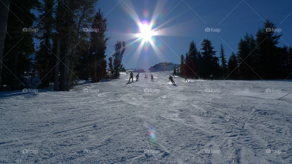Tourist skiing on winter landscape
