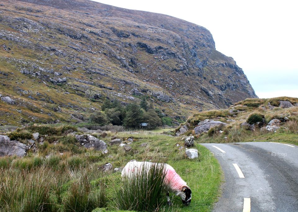 On the bend... ;) Killarney, Ireland