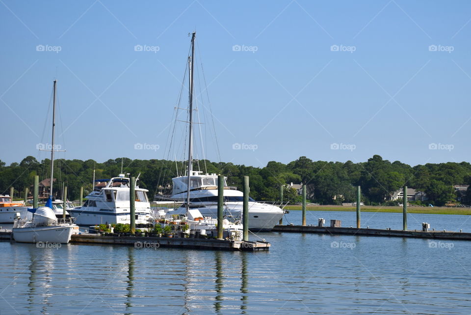 Boats in Harbor 