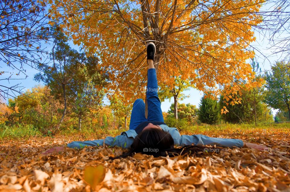 Beautiful fall season 