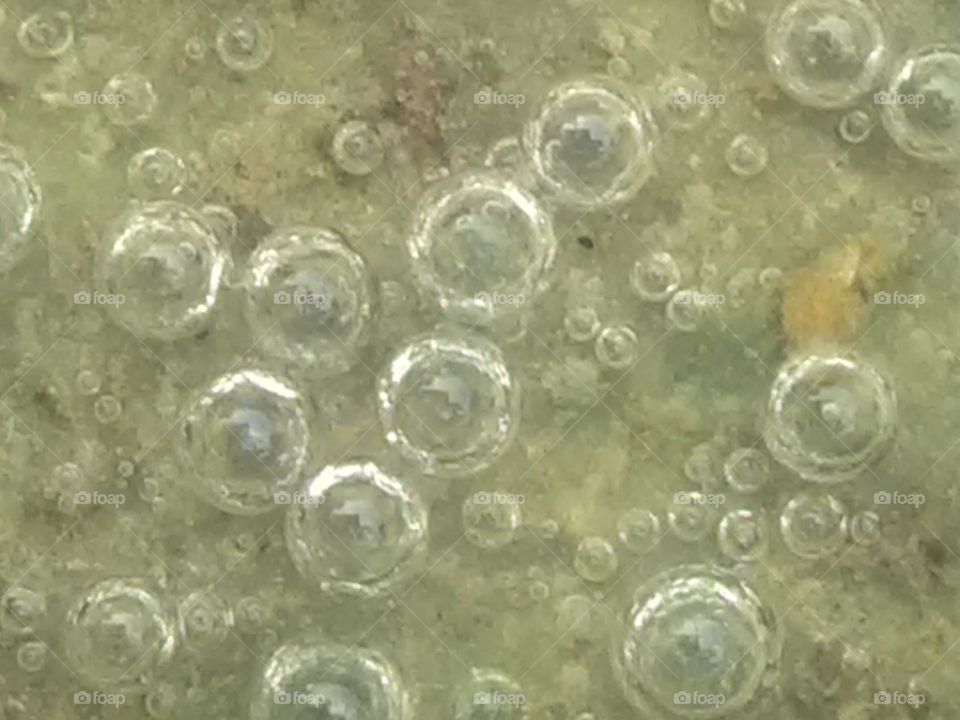 This is a very beautiful water bubal on the reverse.